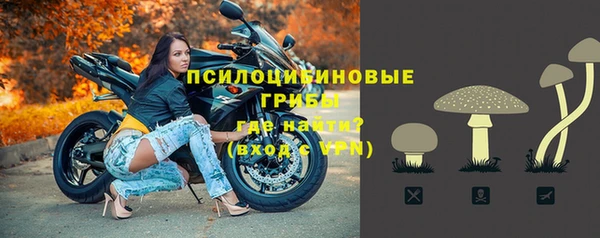 mdpv Бородино