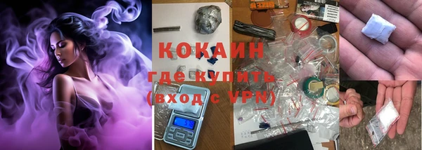 mdpv Бородино